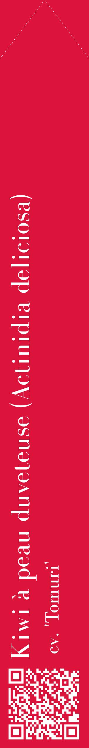 Étiquette de : Actinidia deliciosa cv. 'Tomuri' - format c - style blanche36_simplebod avec qrcode et comestibilité