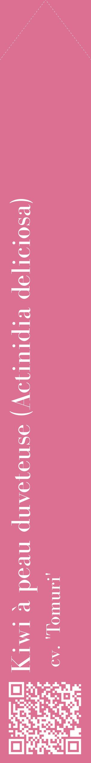 Étiquette de : Actinidia deliciosa cv. 'Tomuri' - format c - style blanche44_simplebod avec qrcode et comestibilité