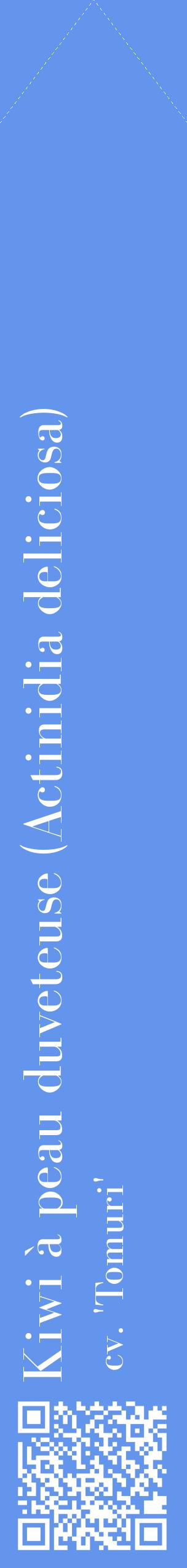 Étiquette de : Actinidia deliciosa cv. 'Tomuri' - format c - style blanche4_simplebod avec qrcode et comestibilité