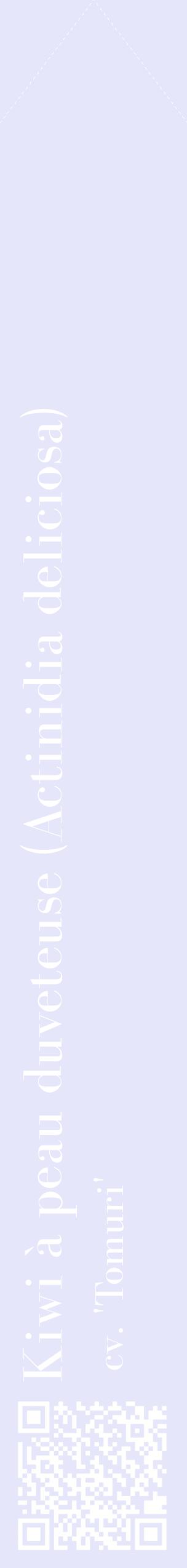 Étiquette de : Actinidia deliciosa cv. 'Tomuri' - format c - style blanche55_simplebod avec qrcode et comestibilité