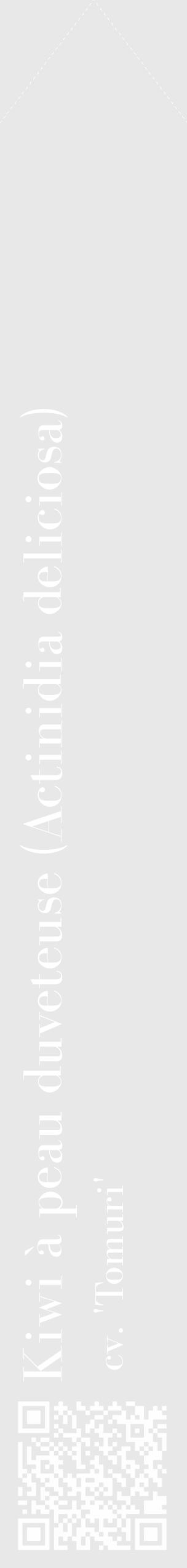 Étiquette de : Actinidia deliciosa cv. 'Tomuri' - format c - style blanche55_simple_simplebod avec qrcode et comestibilité - position verticale