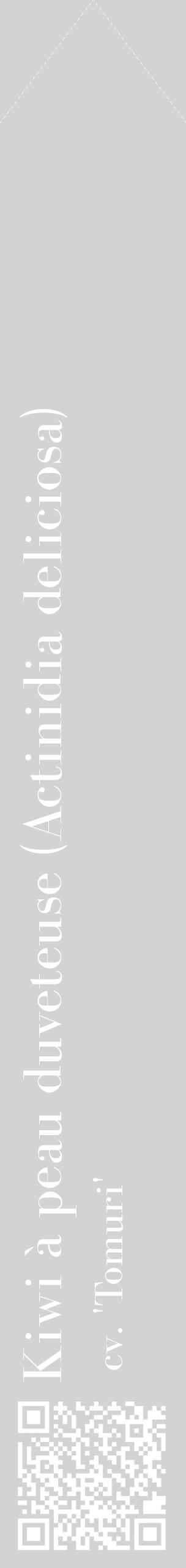 Étiquette de : Actinidia deliciosa cv. 'Tomuri' - format c - style blanche56_simplebod avec qrcode et comestibilité