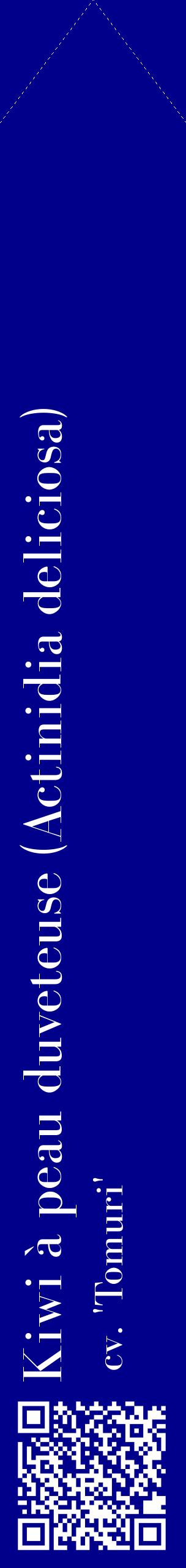 Étiquette de : Actinidia deliciosa cv. 'Tomuri' - format c - style blanche7_simplebod avec qrcode et comestibilité