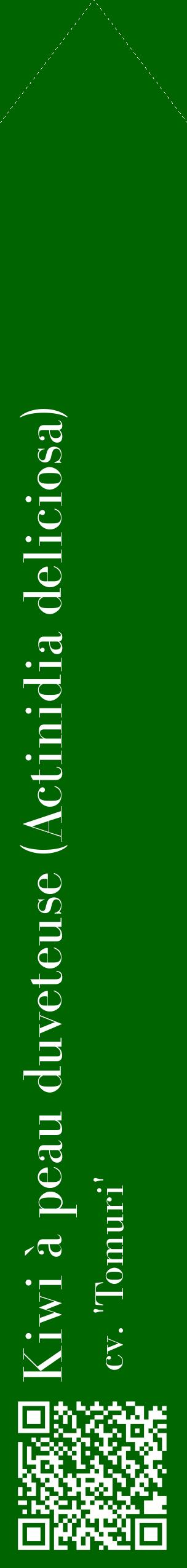 Étiquette de : Actinidia deliciosa cv. 'Tomuri' - format c - style blanche8_simplebod avec qrcode et comestibilité