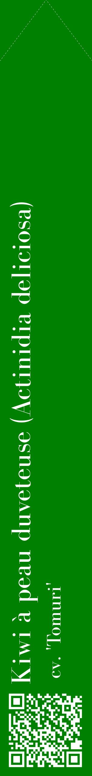 Étiquette de : Actinidia deliciosa cv. 'Tomuri' - format c - style blanche9_simplebod avec qrcode et comestibilité