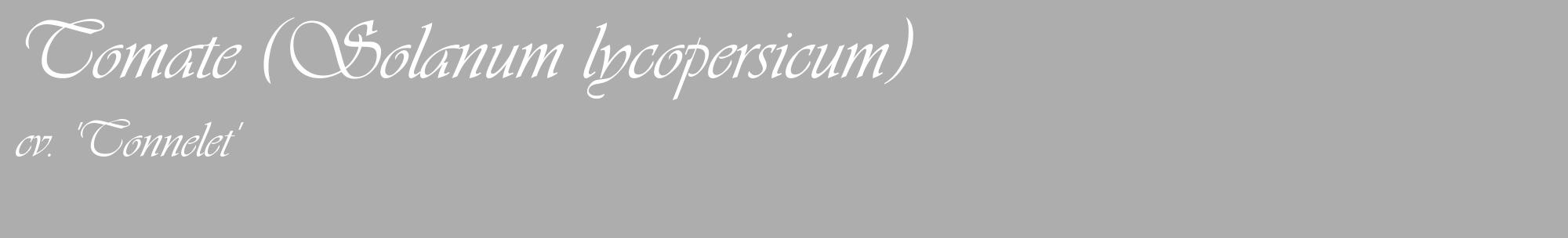 Étiquette de : Solanum lycopersicum cv. 'Tonnelet' - format c - style blanche22_basique_basiqueviv avec comestibilité