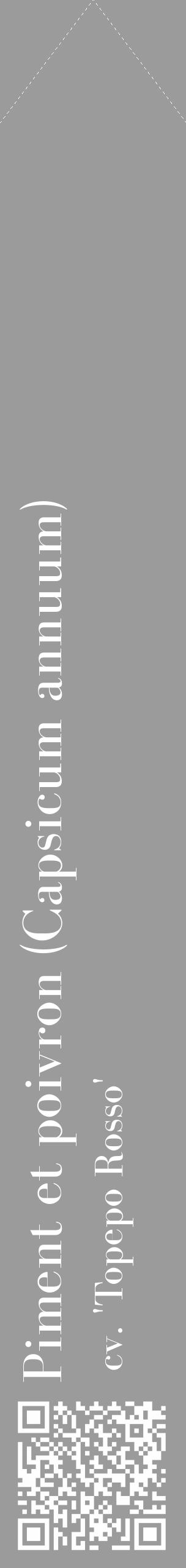 Étiquette de : Capsicum annuum cv. 'Topepo Rosso' - format c - style blanche52_simple_simplebod avec qrcode et comestibilité - position verticale