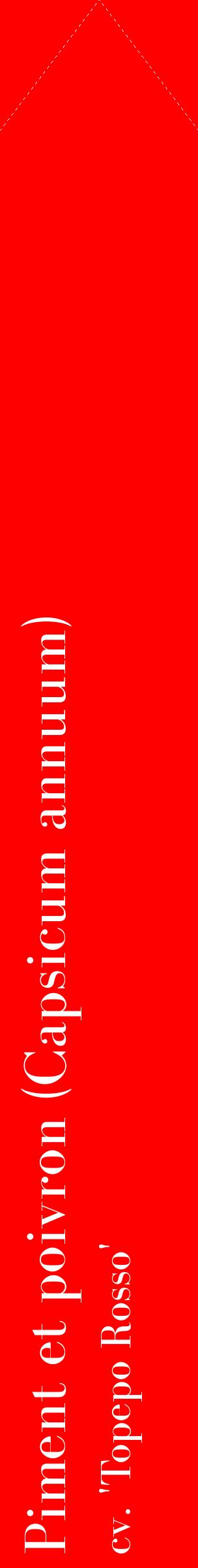 Étiquette de : Capsicum annuum cv. 'Topepo Rosso' - format c - style blanche27_simplebod avec comestibilité