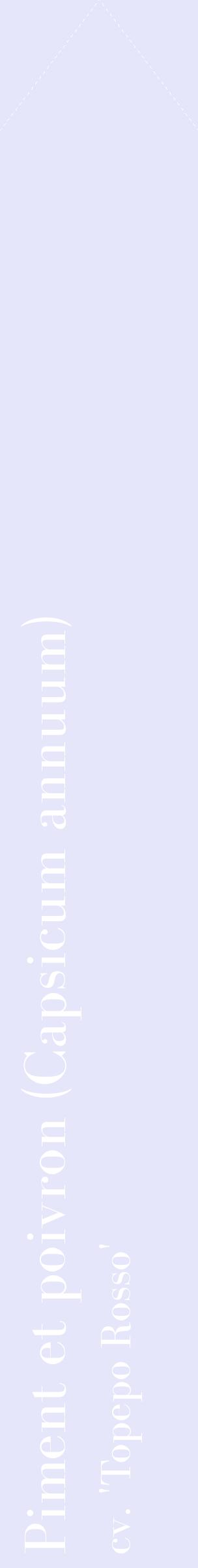 Étiquette de : Capsicum annuum cv. 'Topepo Rosso' - format c - style blanche55_simplebod avec comestibilité