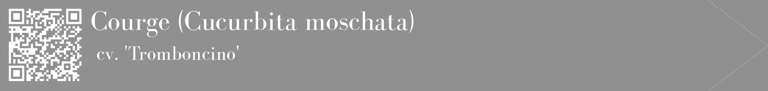 Étiquette de : Cucurbita moschata cv. 'Tromboncino' - format c - style blanche4_simple_simplebod avec qrcode et comestibilité