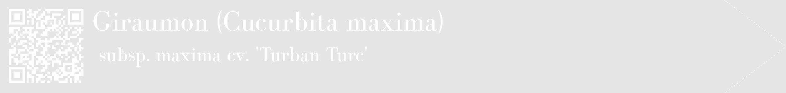 Étiquette de : Cucurbita maxima subsp. maxima cv. 'Turban Turc' - format c - style blanche18_simple_simplebod avec qrcode et comestibilité