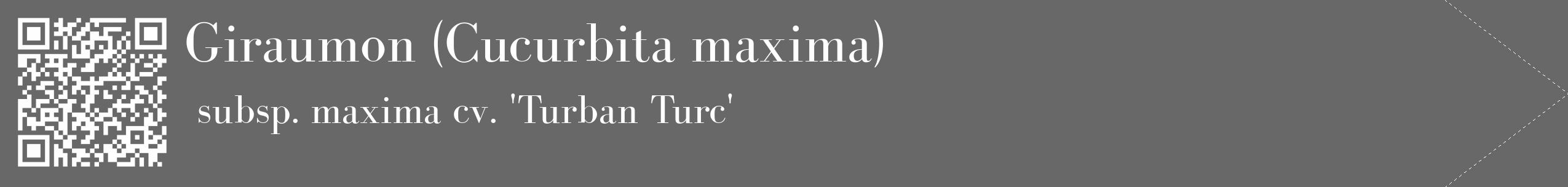 Étiquette de : Cucurbita maxima subsp. maxima cv. 'Turban Turc' - format c - style blanche43_simple_simplebod avec qrcode et comestibilité