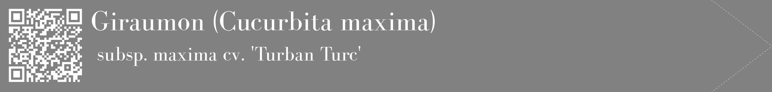 Étiquette de : Cucurbita maxima subsp. maxima cv. 'Turban Turc' - format c - style blanche50_simple_simplebod avec qrcode et comestibilité
