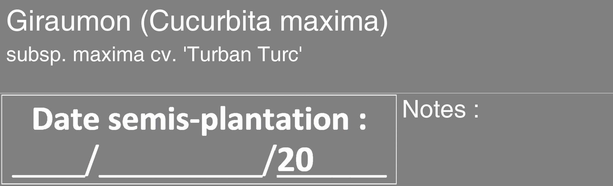 Étiquette de : Cucurbita maxima subsp. maxima cv. 'Turban Turc' - format c - style blanche57_basique_basiquehel avec comestibilité