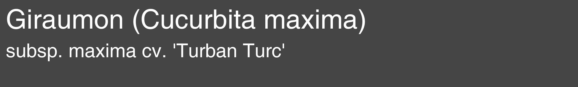 Étiquette de : Cucurbita maxima subsp. maxima cv. 'Turban Turc' - format c - style blanche58_basique_basiquehel avec comestibilité