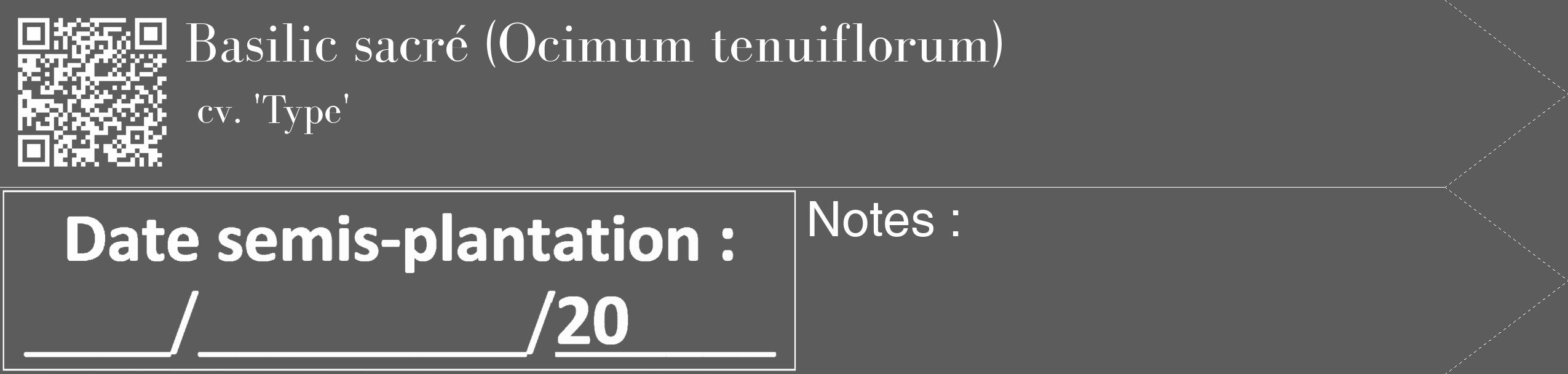 Étiquette de : Ocimum tenuiflorum cv. 'Type' - format c - style blanche49_simple_simplebod avec qrcode et comestibilité