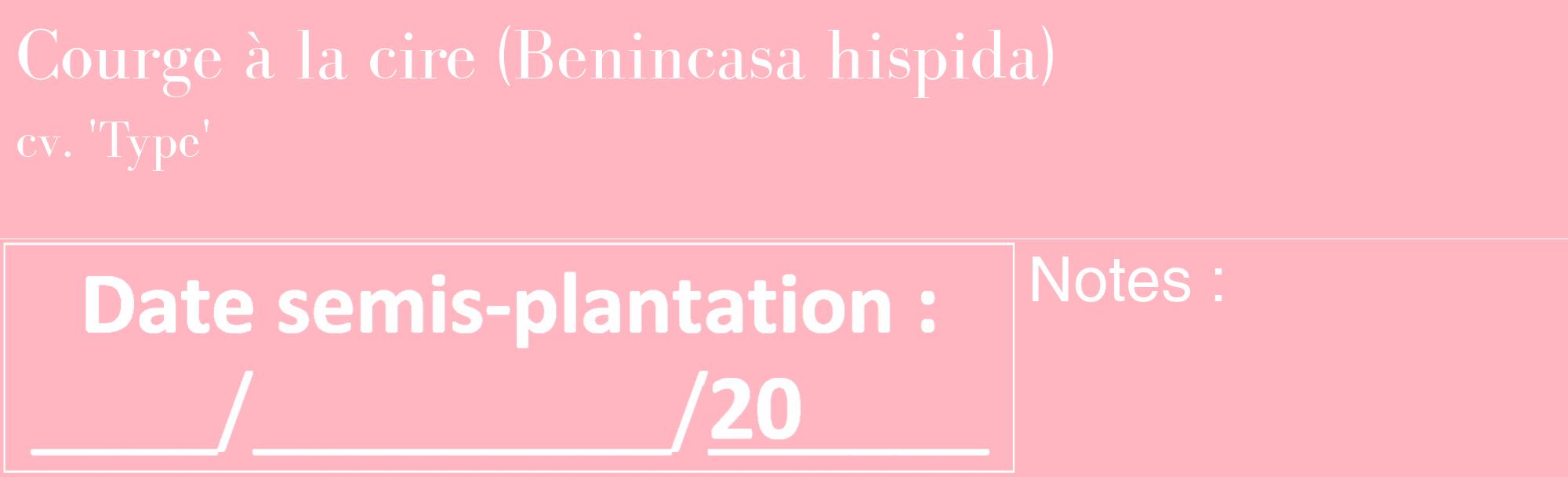 Étiquette de : Benincasa hispida cv. 'Type' - format c - style blanche41_basique_basiquebod avec comestibilité