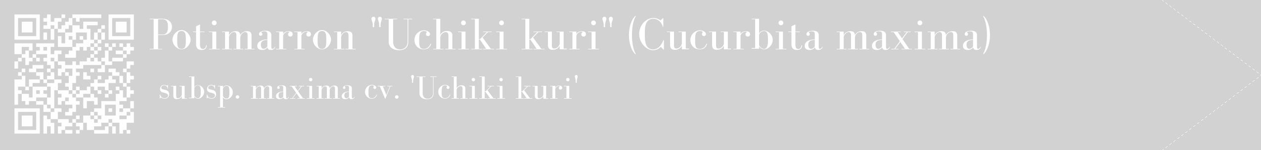 Étiquette de : Cucurbita maxima subsp. maxima cv. 'Uchiki kuri' - format c - style blanche14_simple_simplebod avec qrcode et comestibilité