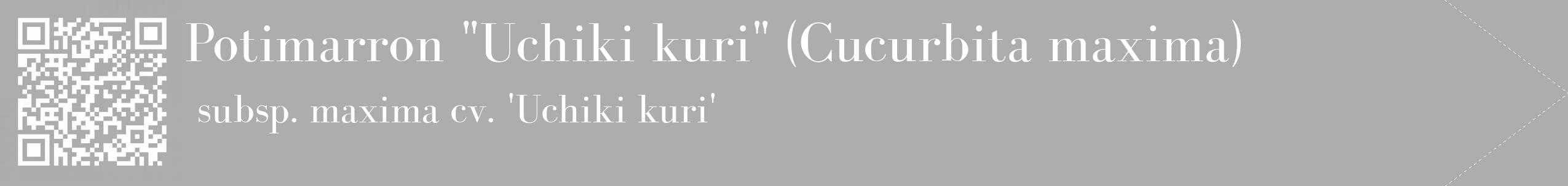 Étiquette de : Cucurbita maxima subsp. maxima cv. 'Uchiki kuri' - format c - style blanche22_simple_simplebod avec qrcode et comestibilité