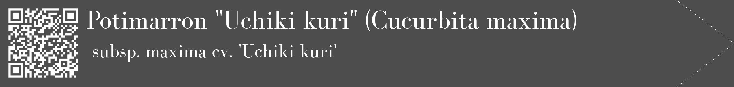 Étiquette de : Cucurbita maxima subsp. maxima cv. 'Uchiki kuri' - format c - style blanche28_simple_simplebod avec qrcode et comestibilité