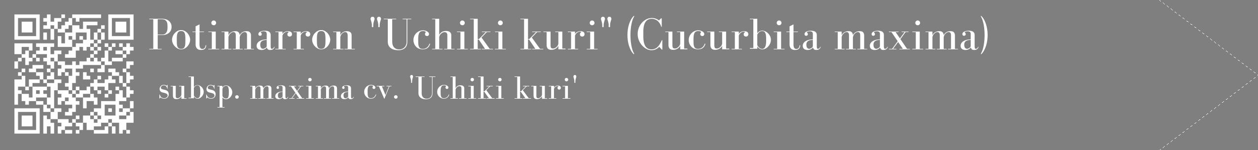 Étiquette de : Cucurbita maxima subsp. maxima cv. 'Uchiki kuri' - format c - style blanche31_simple_simplebod avec qrcode et comestibilité
