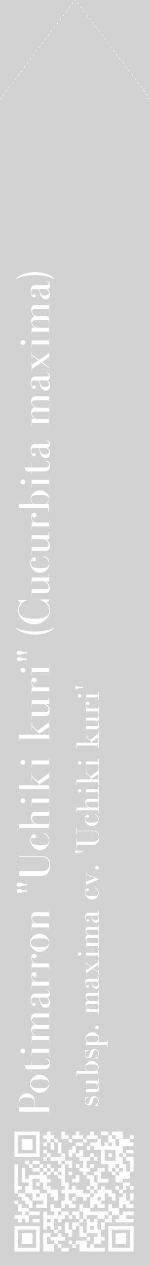 Étiquette de : Cucurbita maxima subsp. maxima cv. 'Uchiki kuri' - format c - style blanche14_simple_simplebod avec qrcode et comestibilité - position verticale