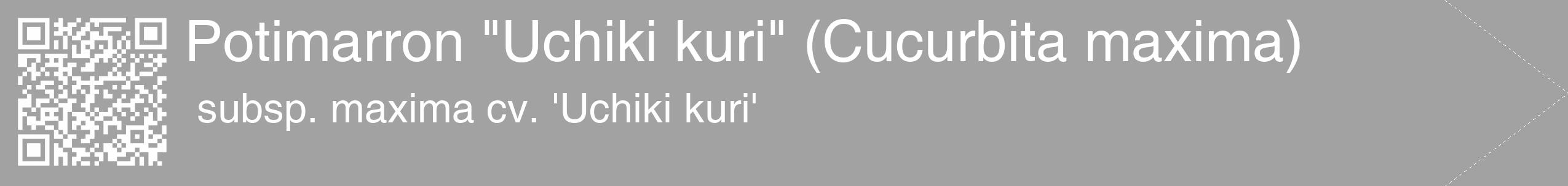 Étiquette de : Cucurbita maxima subsp. maxima cv. 'Uchiki kuri' - format c - style blanche38_simple_simplehel avec qrcode et comestibilité