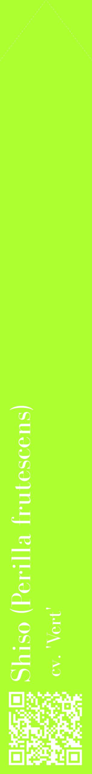 Étiquette de : Perilla frutescens cv. 'Vert' - format c - style blanche17_simplebod avec qrcode et comestibilité