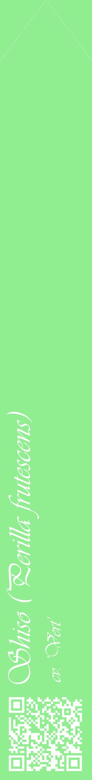 Étiquette de : Perilla frutescens cv. 'Vert' - format c - style blanche15_simpleviv avec qrcode et comestibilité