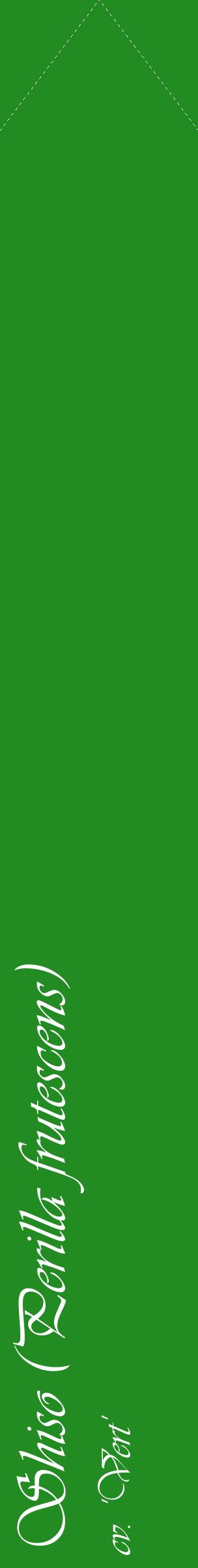Étiquette de : Perilla frutescens cv. 'Vert' - format c - style blanche10_simpleviv avec comestibilité