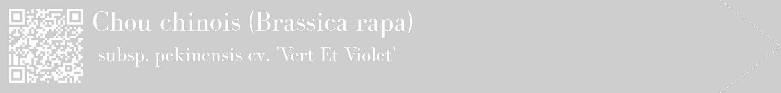 Étiquette de : Brassica rapa subsp. pekinensis cv. 'Vert Et Violet' - format c - style blanche41_simple_simplebod avec qrcode et comestibilité