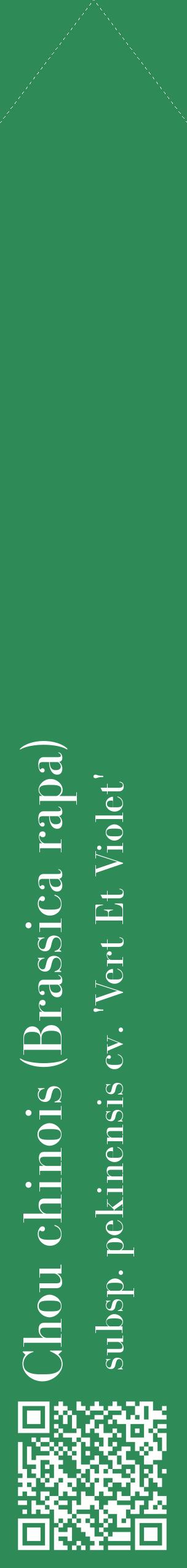 Étiquette de : Brassica rapa subsp. pekinensis cv. 'Vert Et Violet' - format c - style blanche11_simplebod avec qrcode et comestibilité