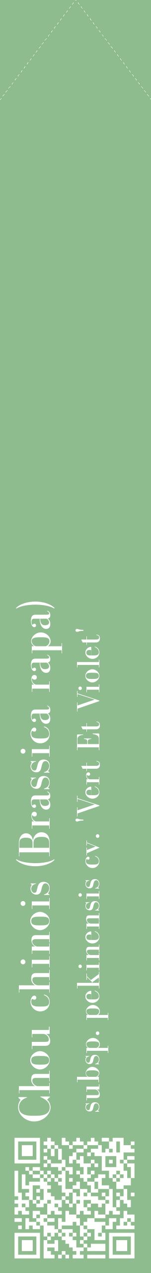 Étiquette de : Brassica rapa subsp. pekinensis cv. 'Vert Et Violet' - format c - style blanche13_simplebod avec qrcode et comestibilité