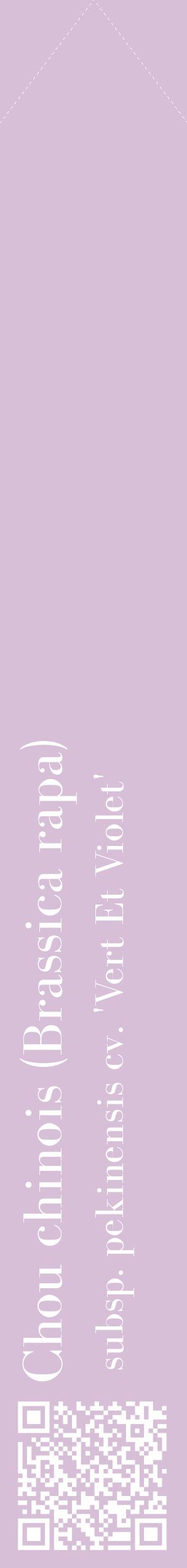 Étiquette de : Brassica rapa subsp. pekinensis cv. 'Vert Et Violet' - format c - style blanche54_simplebod avec qrcode et comestibilité