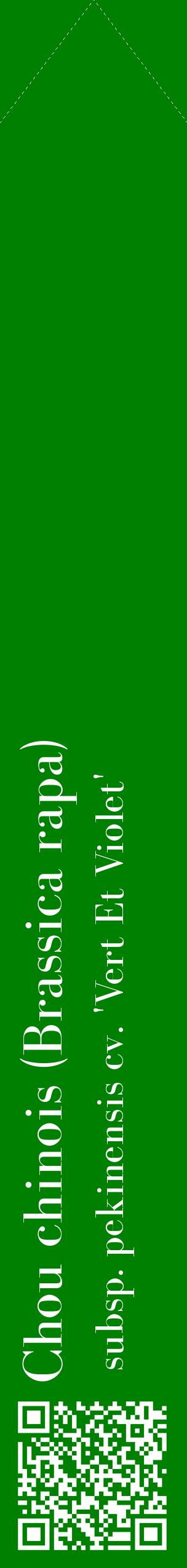 Étiquette de : Brassica rapa subsp. pekinensis cv. 'Vert Et Violet' - format c - style blanche9_simplebod avec qrcode et comestibilité