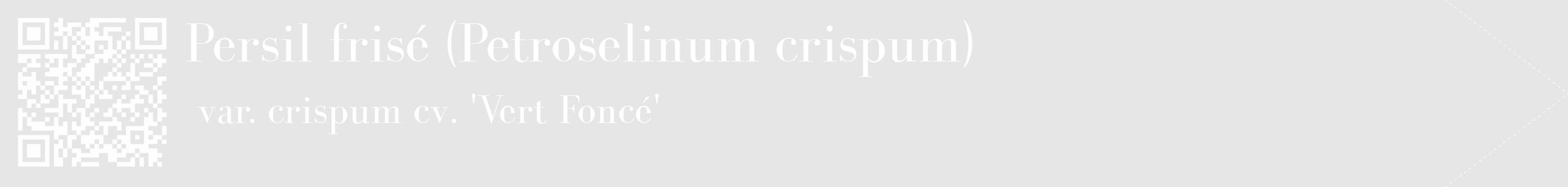 Étiquette de : Petroselinum crispum var. crispum cv. 'Vert Foncé' - format c - style blanche18_simple_simplebod avec qrcode et comestibilité