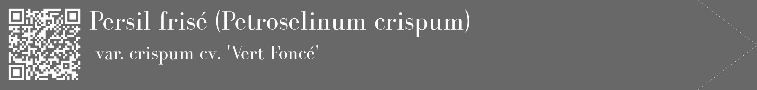 Étiquette de : Petroselinum crispum var. crispum cv. 'Vert Foncé' - format c - style blanche6_simple_simplebod avec qrcode et comestibilité