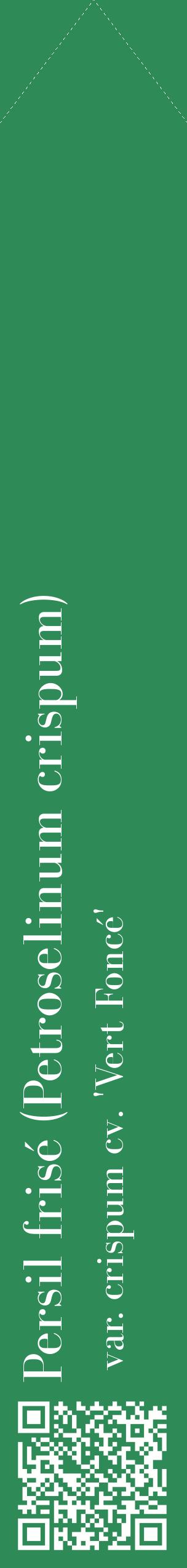 Étiquette de : Petroselinum crispum var. crispum cv. 'Vert Foncé' - format c - style blanche11_simplebod avec qrcode et comestibilité