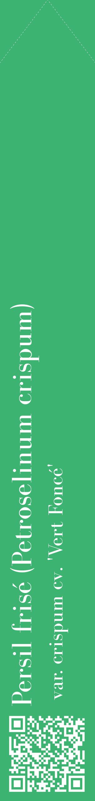 Étiquette de : Petroselinum crispum var. crispum cv. 'Vert Foncé' - format c - style blanche12_simplebod avec qrcode et comestibilité
