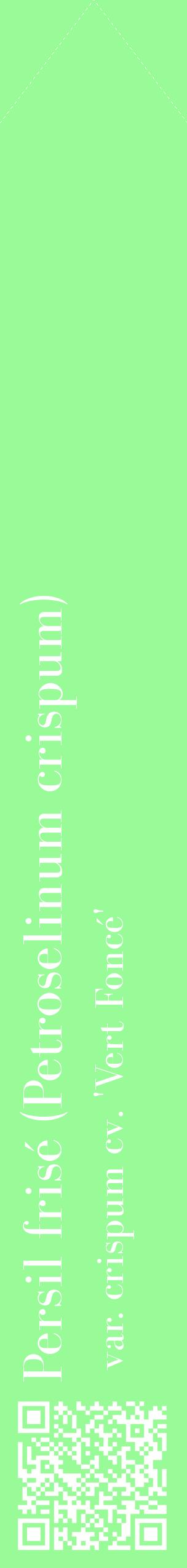 Étiquette de : Petroselinum crispum var. crispum cv. 'Vert Foncé' - format c - style blanche14_simplebod avec qrcode et comestibilité