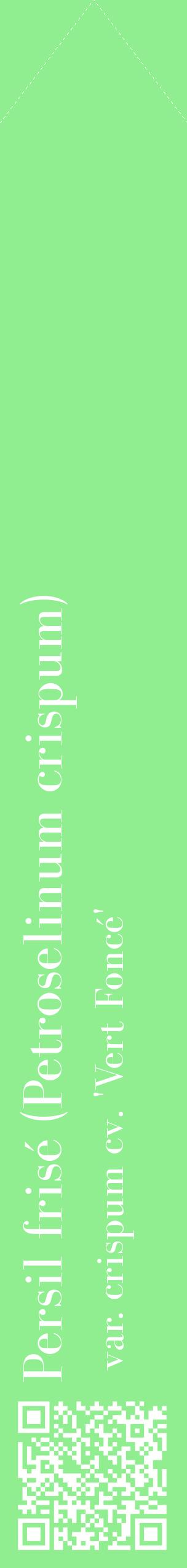 Étiquette de : Petroselinum crispum var. crispum cv. 'Vert Foncé' - format c - style blanche15_simplebod avec qrcode et comestibilité