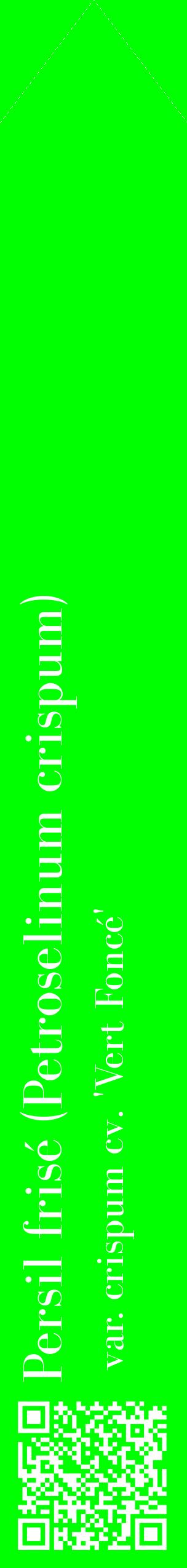 Étiquette de : Petroselinum crispum var. crispum cv. 'Vert Foncé' - format c - style blanche16_simplebod avec qrcode et comestibilité