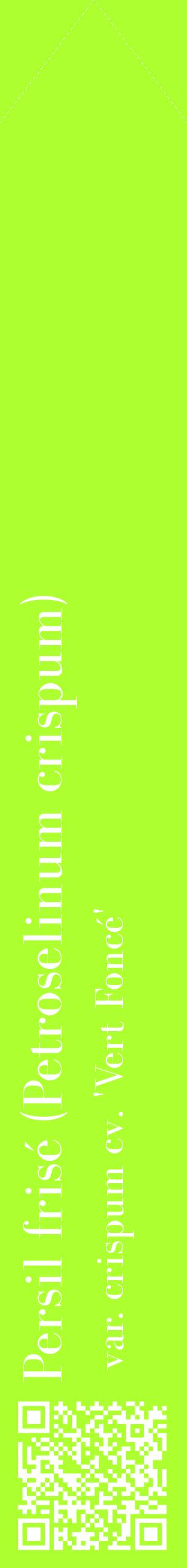 Étiquette de : Petroselinum crispum var. crispum cv. 'Vert Foncé' - format c - style blanche17_simplebod avec qrcode et comestibilité