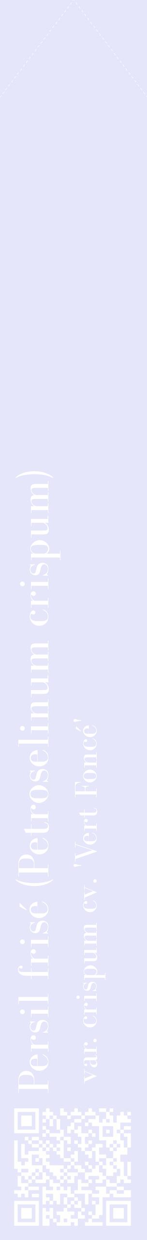 Étiquette de : Petroselinum crispum var. crispum cv. 'Vert Foncé' - format c - style blanche55_simplebod avec qrcode et comestibilité