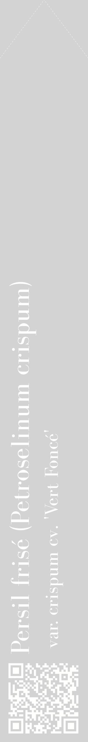 Étiquette de : Petroselinum crispum var. crispum cv. 'Vert Foncé' - format c - style blanche56_simplebod avec qrcode et comestibilité