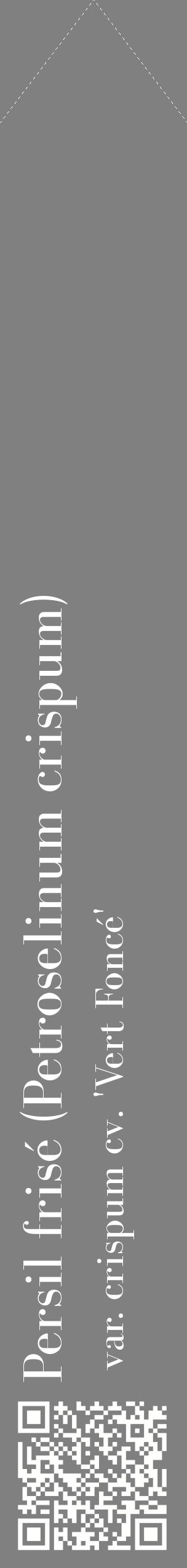 Étiquette de : Petroselinum crispum var. crispum cv. 'Vert Foncé' - format c - style blanche57_simplebod avec qrcode et comestibilité
