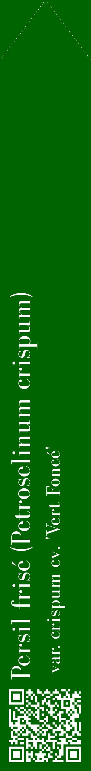 Étiquette de : Petroselinum crispum var. crispum cv. 'Vert Foncé' - format c - style blanche8_simplebod avec qrcode et comestibilité