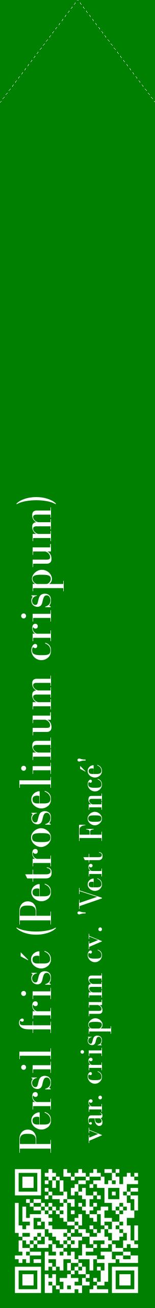 Étiquette de : Petroselinum crispum var. crispum cv. 'Vert Foncé' - format c - style blanche9_simplebod avec qrcode et comestibilité