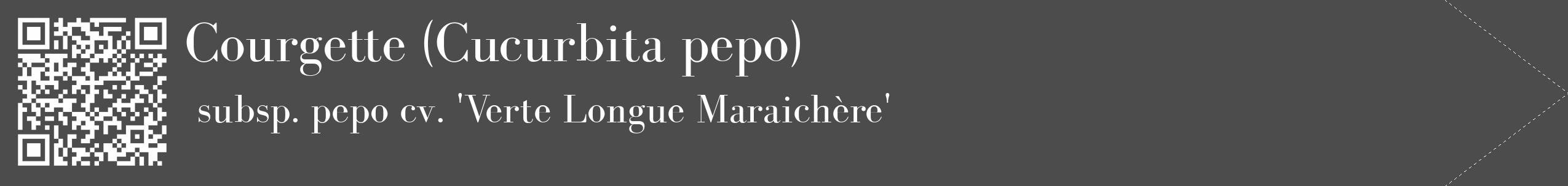 Étiquette de : Cucurbita pepo subsp. pepo cv. 'Verte Longue Maraichère' - format c - style blanche27_simple_simplebod avec qrcode et comestibilité