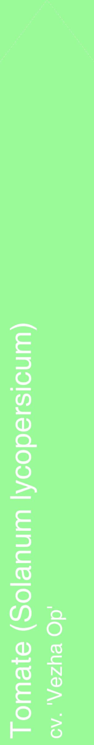 Étiquette de : Solanum lycopersicum cv. 'Vezha Op' - format c - style blanche14_simplehel avec comestibilité